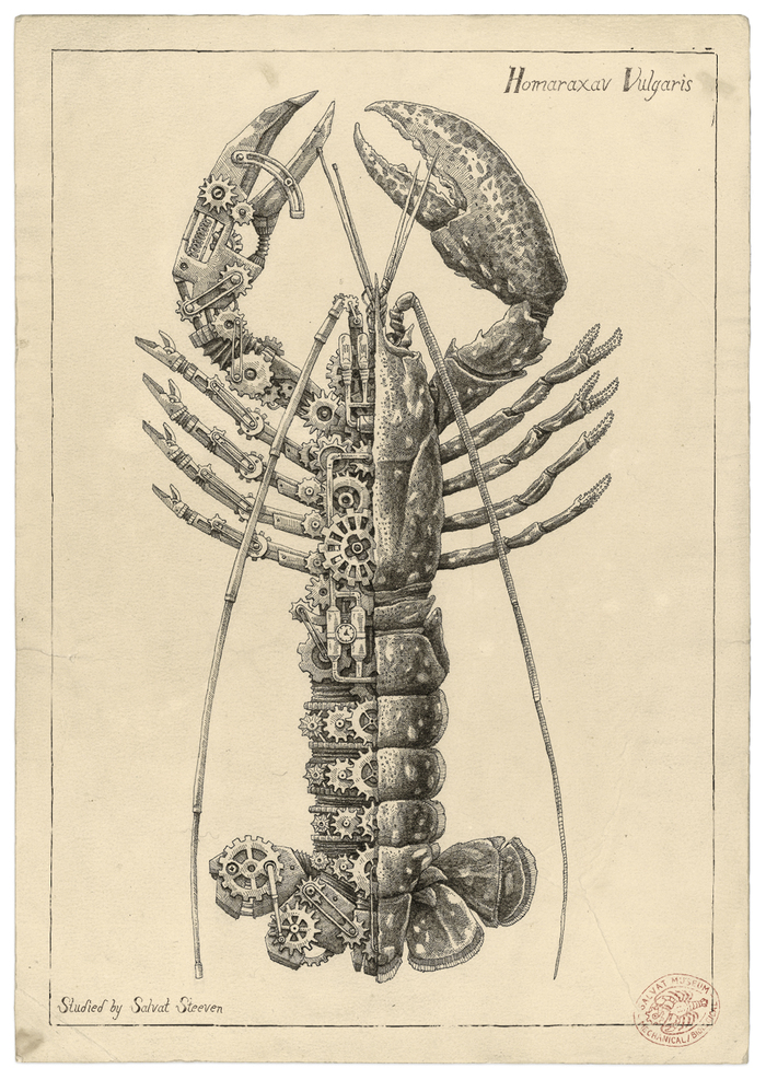 Intricate Biomechanical Drawings of Crustaceans by Steeven Salvat
