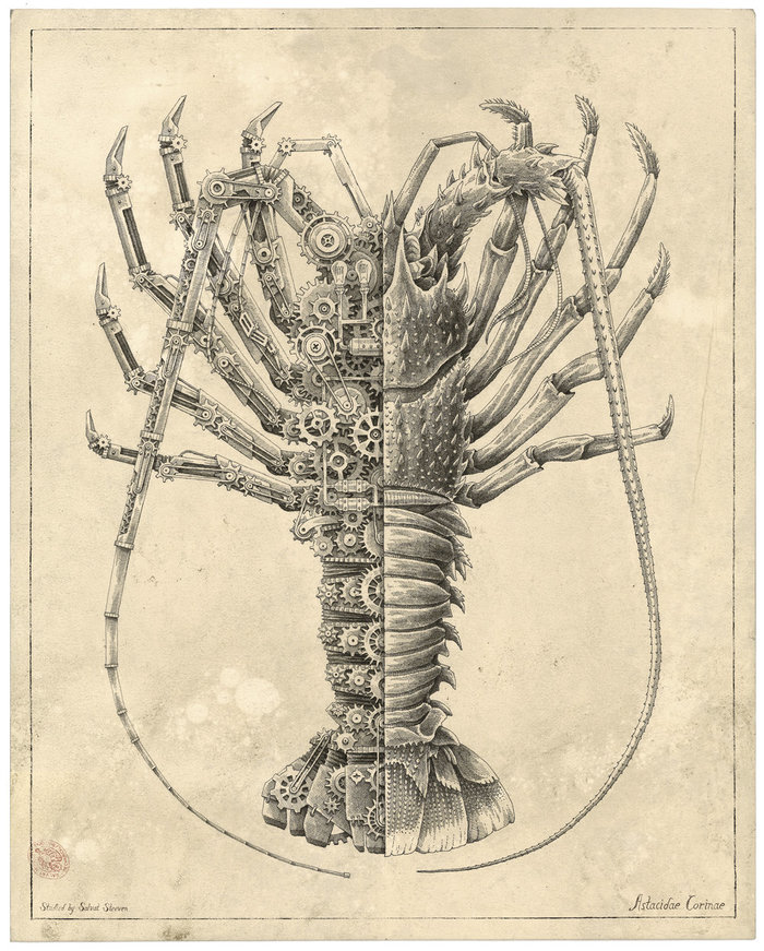 Intricate Biomechanical Drawings of Crustaceans by Steeven Salvat