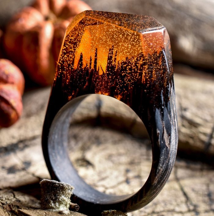 Tiny Worlds Encapsulated Inside Wooden Rings by Secret Wood