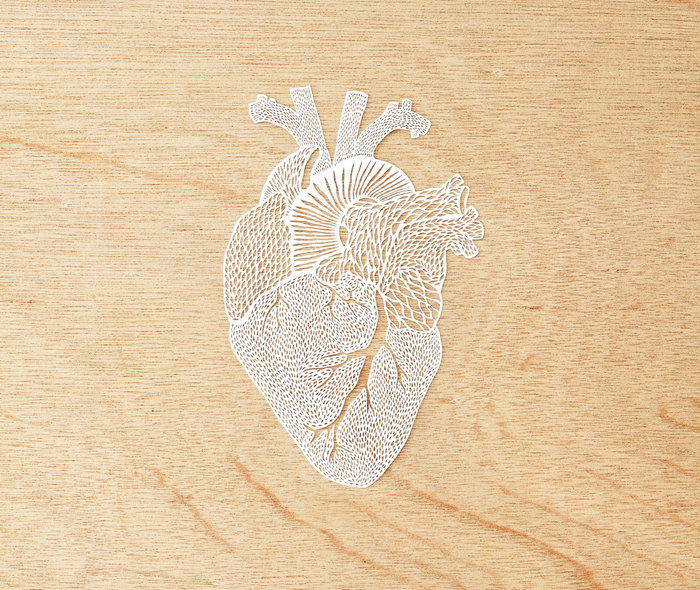 Intricate Hand Cut Anatomical Paper Illustrations by Ali Harrison