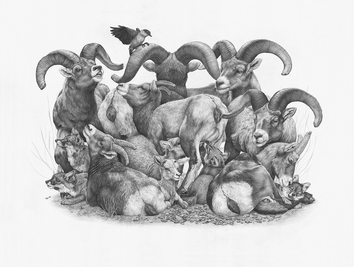 Stunningly Detailed NatureInspired Drawings by Zoe Keller The