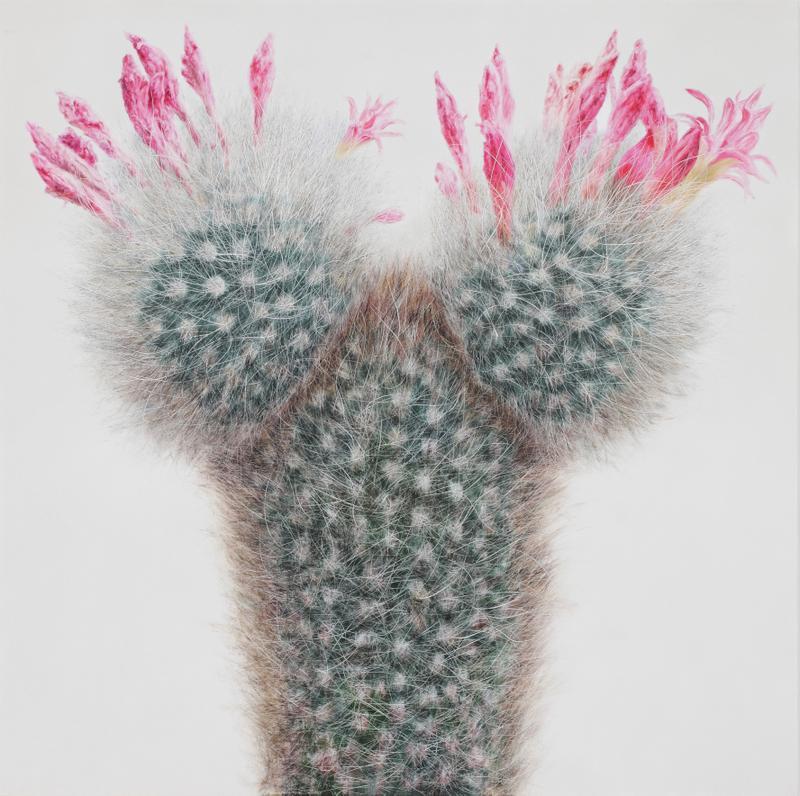 Hyperrealistic Cactus Paintings by Kwang-Ho Lee
