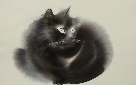 Gloomy Dogs and Cats Watercolor Paintings by Endre Penovac