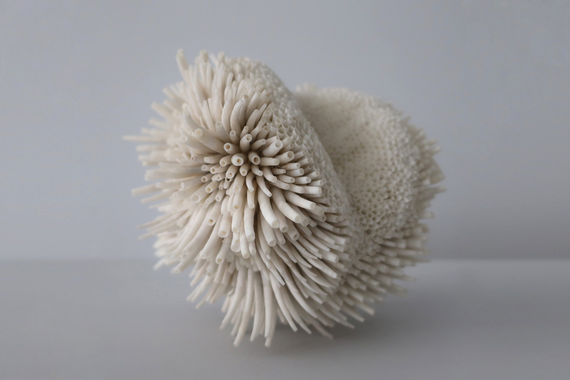 Mesmerizing Seashell Sculptures by Rowan Mersh