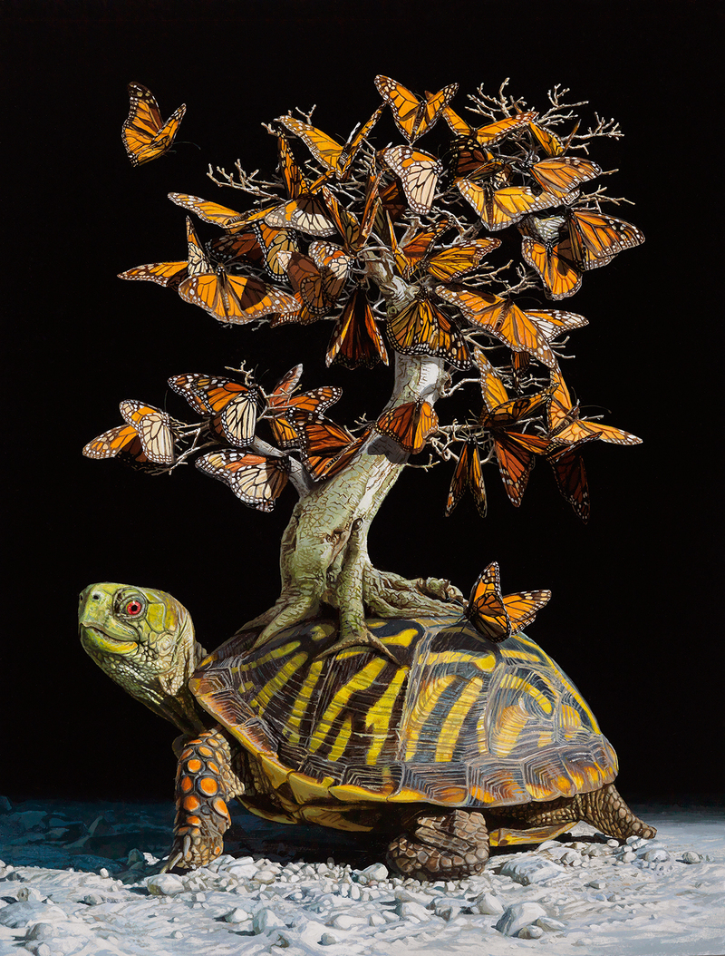Stunning Hyperrealistic Animal Paintings by Lisa Ericson