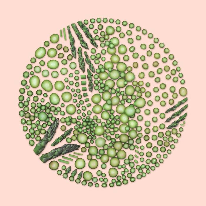 Organic Items Arranged Into Perfect Circles by Kristen Meyer