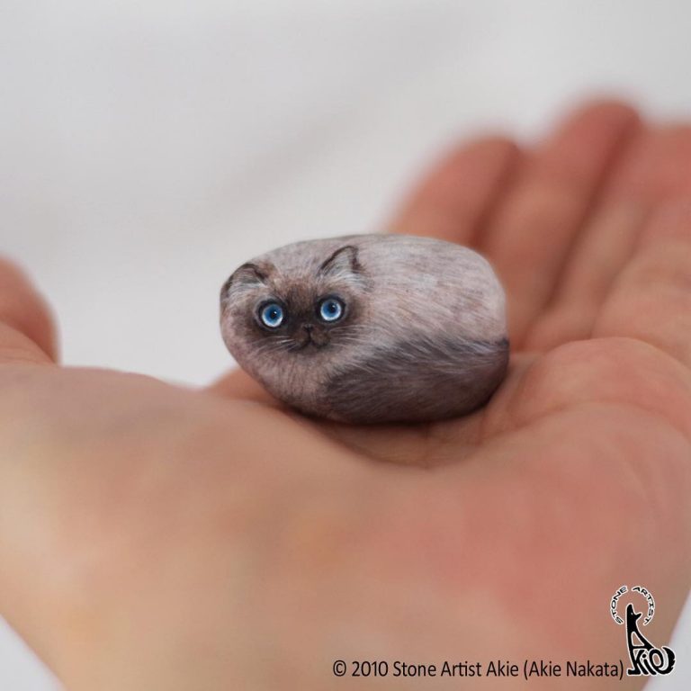 Adorable Animal Stone Paintings by Akie Nakata The Creative Blog