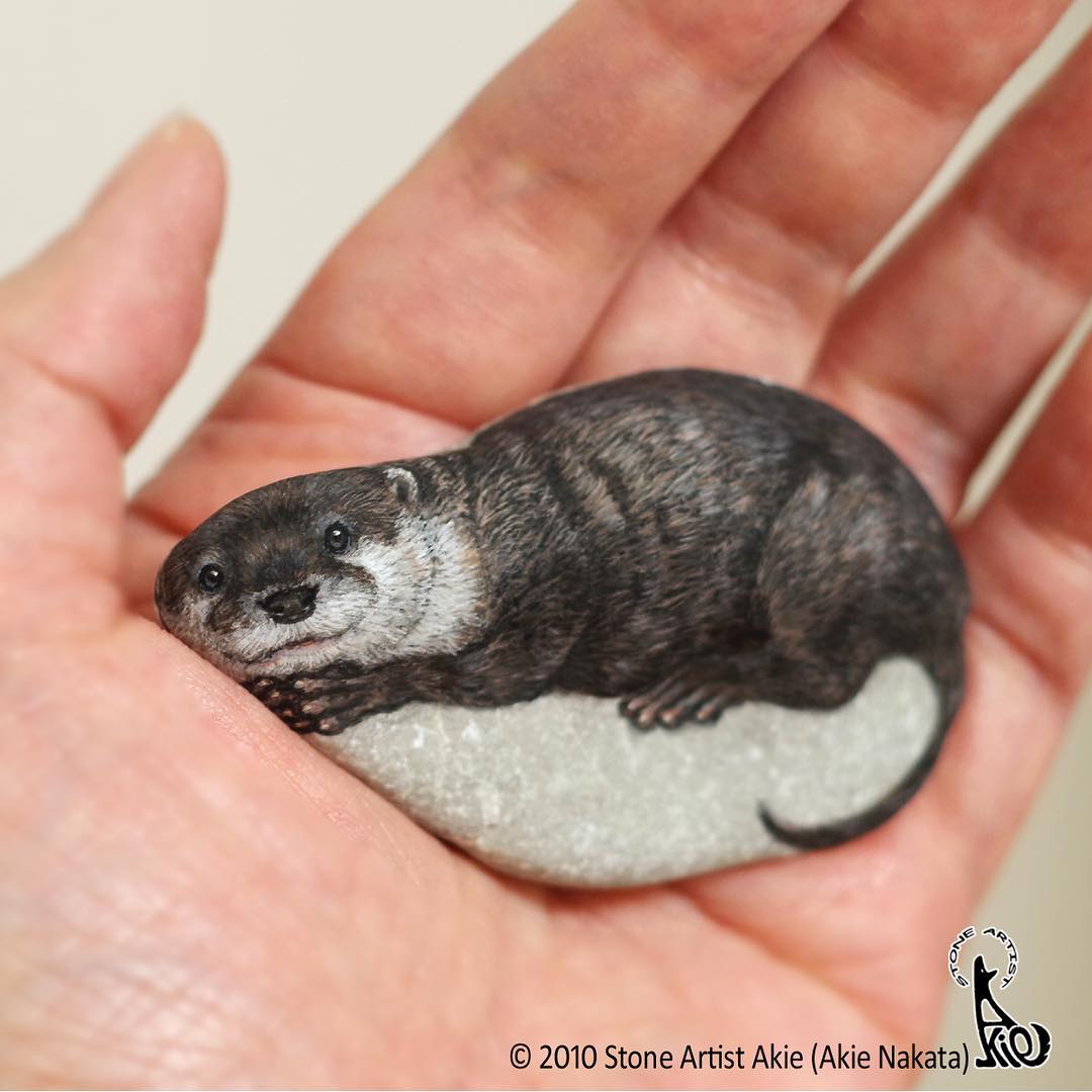 Adorable Animal Stone Paintings by Akie Nakata
