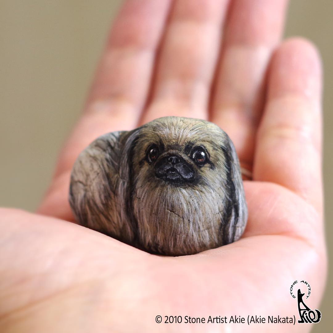 Adorable Animal Stone Paintings by Akie Nakata
